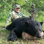 AR16-Dale Bear 4 6-1-2016